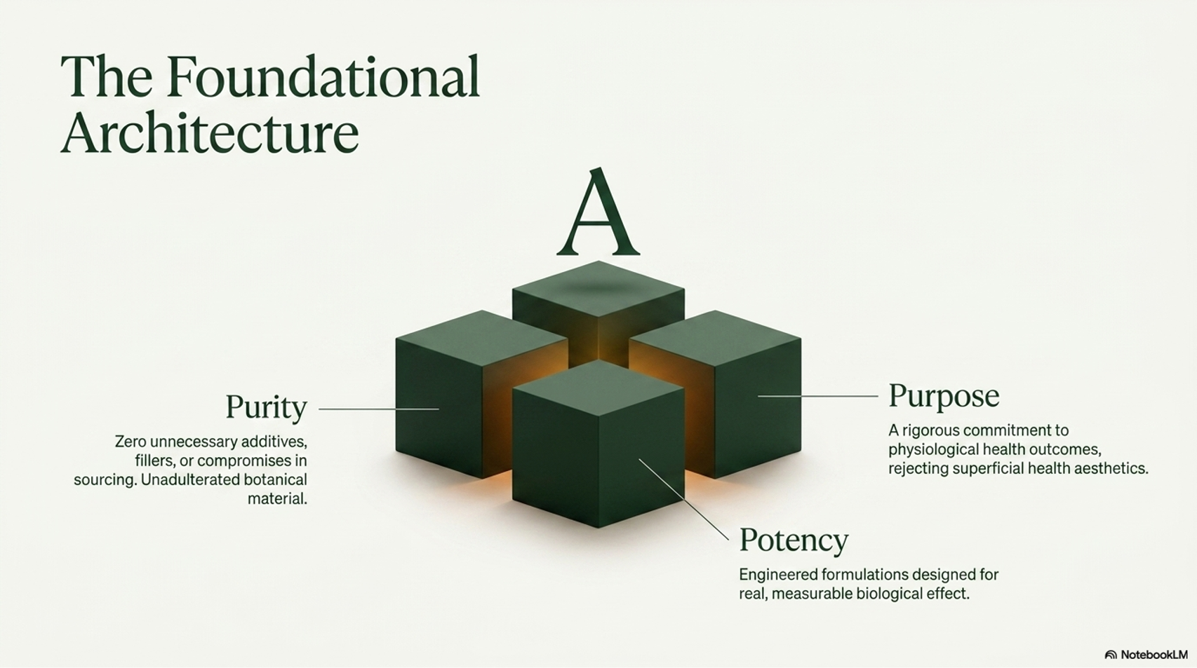 The Foundational Architecture